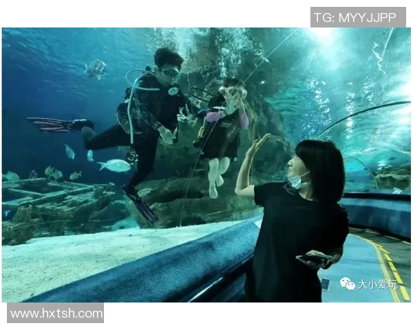 时尚与舒适并存 潜水泳装助力畅享水下世界的极致体验